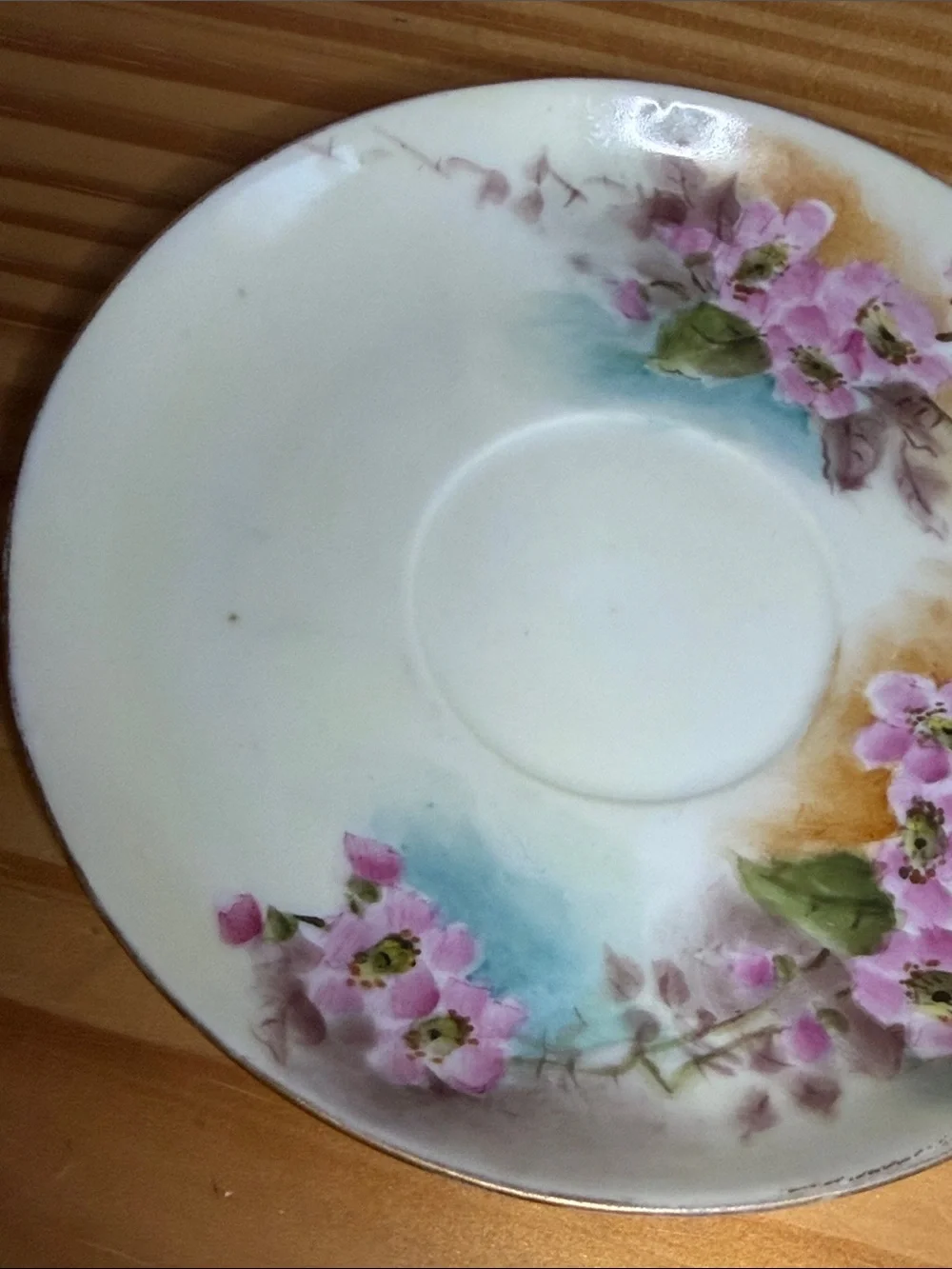 Antique Rosenthal Bavaria Hand Painted Teacup Saucer Set
